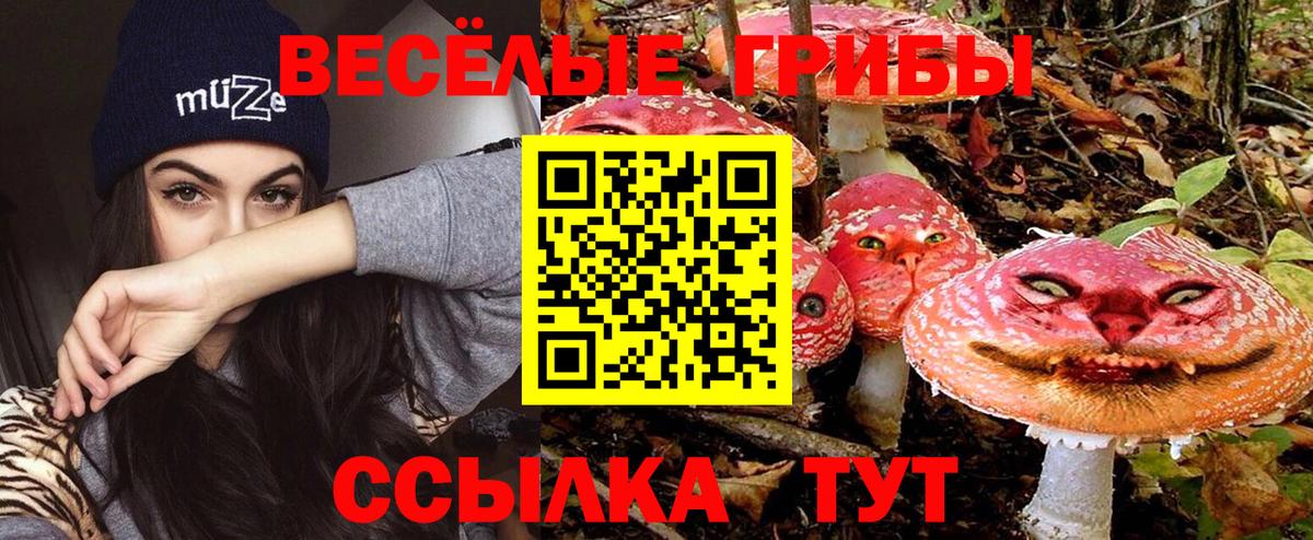 Галлюциногенные грибы мицелий  Вход с VPN  Псилоцибиновые грибы мухоморы  хочу наркоту  Ессентуки 